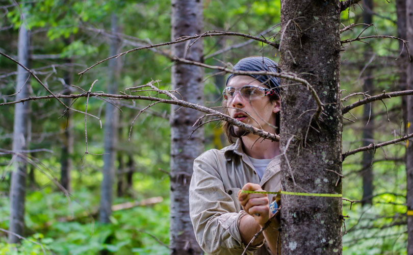 Étudiant en biologie, David Grenier-Héon fut assistant de recherche en foresterie durant les étés. (Photo : Lalanne)