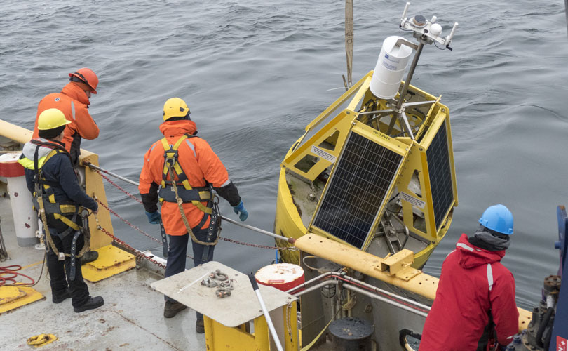 Le projet MARS vise à mieux comprendre l’origine des bruits à bord des navires afin de minimiser leurs impacts sur les mammifères marins du Saint-Laurent. (Photo : Thibaut Quinchon)