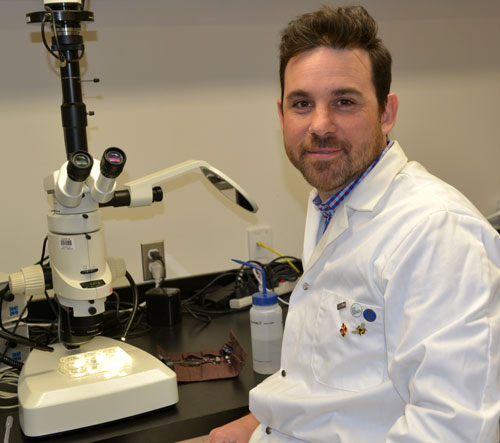 Le professeur Piero Calosi. (Photo : Sébastien Raboin) 