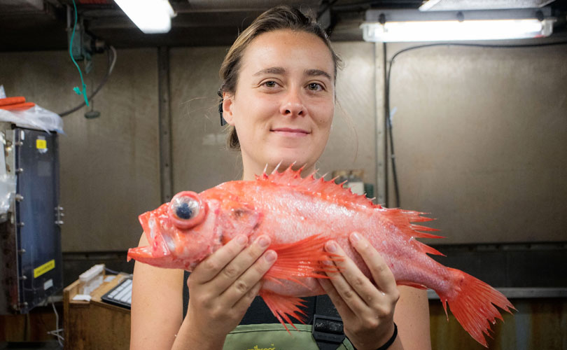 Sarah Brown-Vuillemin est candidate au doctorat en océanographie.